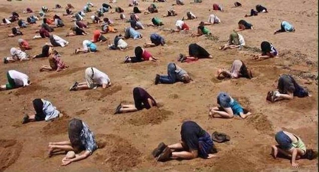 dozens of people with their heads planted in sand 